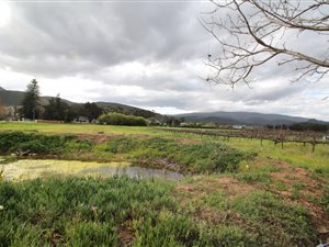 9000 m² Smallholding in Montagu