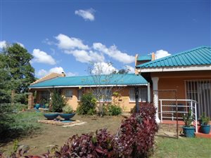 2.2 ha Farm in Ophir AH