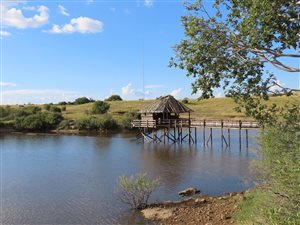 1299 ha Farm in Heilbron