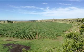 220 ha Farm in Utrecht