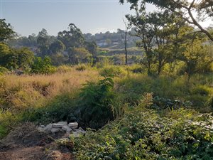 2721 m² Land available in Bishopstowe