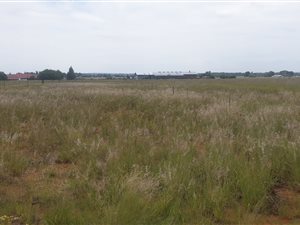 8 ha Land available in Bainsvlei