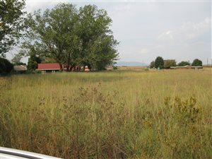 4047 m² Land available in Henley on Klip