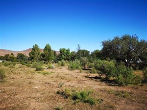 1982 m² Land available in Nieu Bethesda