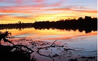 1.7 ha Land available in Viljoenskroon