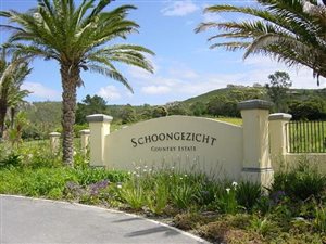 1900 m² Land available in Schoongezicht