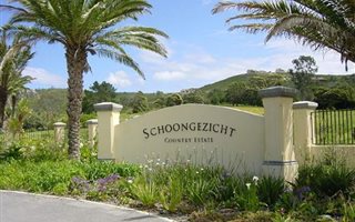 1900 m² Land available in Schoongezicht