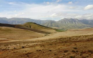 255.3 ha Farm in Greyton