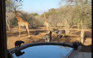 3 Bedroom House in Raptors View Wildlife Estate