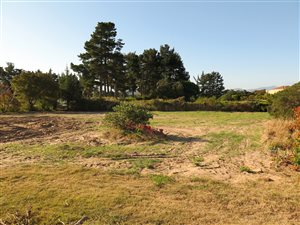 1356 m² Land available in Goose Valley Golf Estate