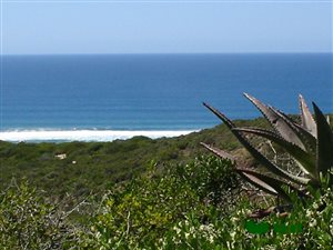 1940 m² Land available in Springerbaai Eco Estate