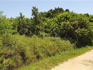 1335 m² Land available in Port Edward