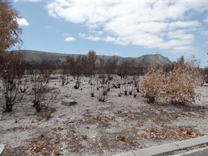 789 m² Land available in Franskraal