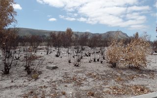 789 m² Land available in Franskraal