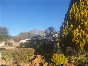 3 Bed House in Songloed