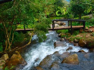 72 ha Farm in Sabie
