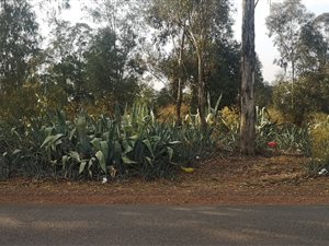 8.1 ha Land available in Valley Settlements AH