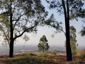 1.1 ha Land available in Strydfontein and surrounds