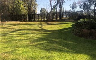 2 Bedroom Apartment in Illovo
