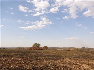 5.1 ha Land available in Donkerhoek