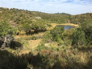 11 ha Farm in Bathurst and Surrounds