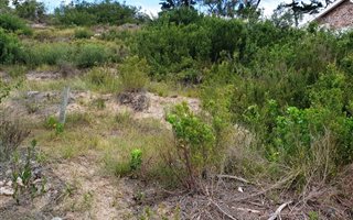 690 m² Land available in Sedgefield