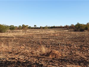 8 ha Land available in Mooiplaats AH
