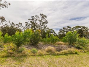 606 m² Land available in Wedgewood Golf Estate