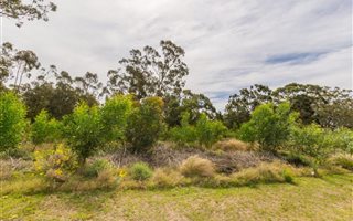 606 m² Land available in Wedgewood Golf Estate