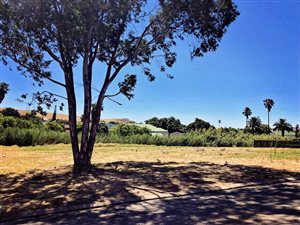 1024 m² Land available in Darling