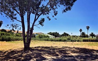 1024 m² Land available in Darling