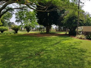 8.8 ha Farm in Buffelspoort