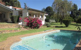 8000 m² Farm in De Deur