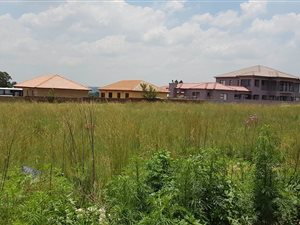1525 m² Land available in Cultura Park