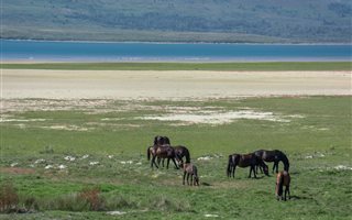 1197 m² Land available in Flamingo Bay