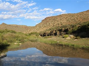 5550 ha Farm in Graaff Reinet