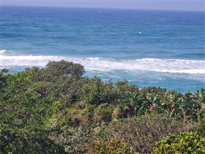4 Bed Apartment in Southbroom
