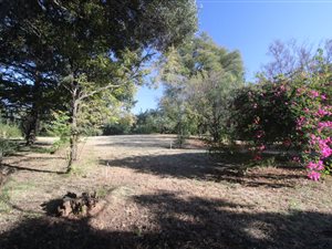 1.3 ha Land available in North Riding AH