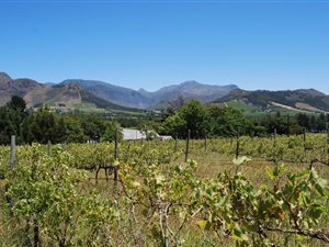 2 ha Farm in Franschhoek