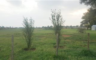 1 ha Land available in Denneoord