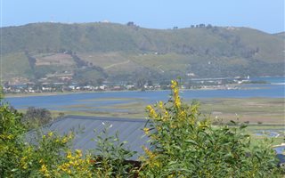 1515 m² Land available in Fishers Haven
