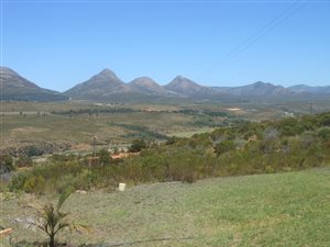 27.4 ha Farm in Kareedouw