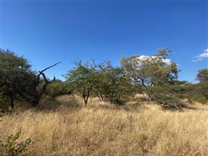1 ha Land available in Hoedspruit