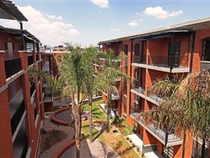 1 Bed Apartment in Melrose