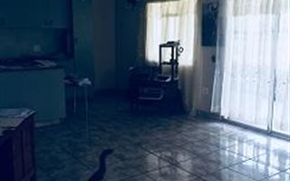 3 Bedroom House in Arbor Park
