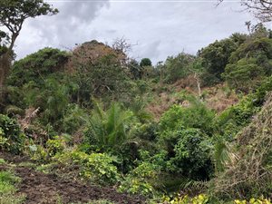 2635 m² Land available in Southbroom