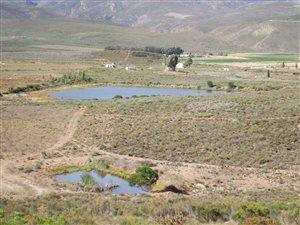 50 ha Farm in McGregor