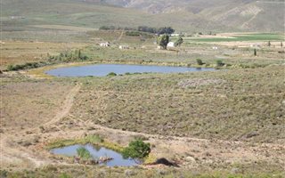 50 ha Farm in McGregor