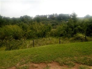 1.1 ha Land available in Crestholme