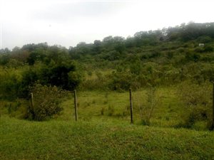 1.1 ha Land available in Crestholme